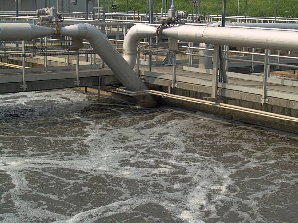 Chemical and Food Processing